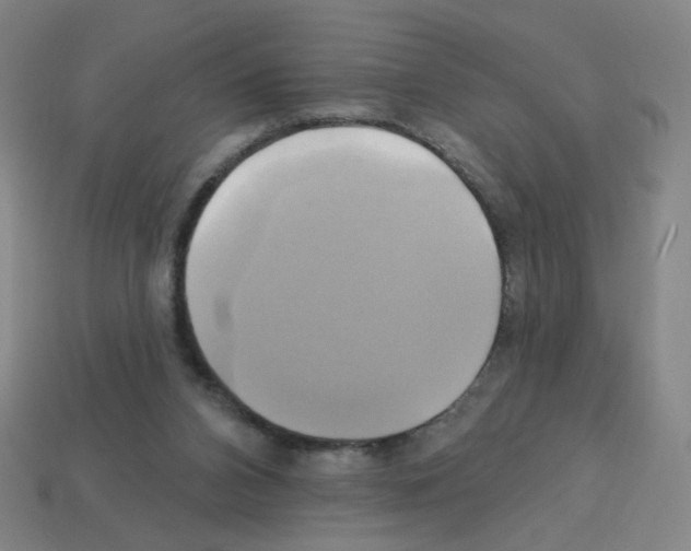 X0000113050112200910081240