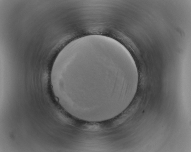 X0000113050113200910081240