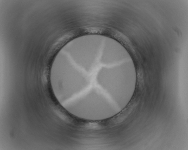 X0000113050114200910081240