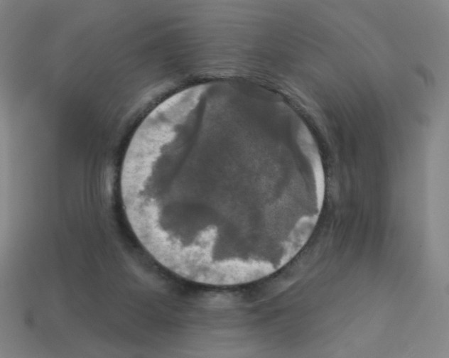 X0000113050115200910081240
