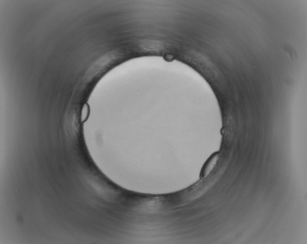 X0000113050116200910081240