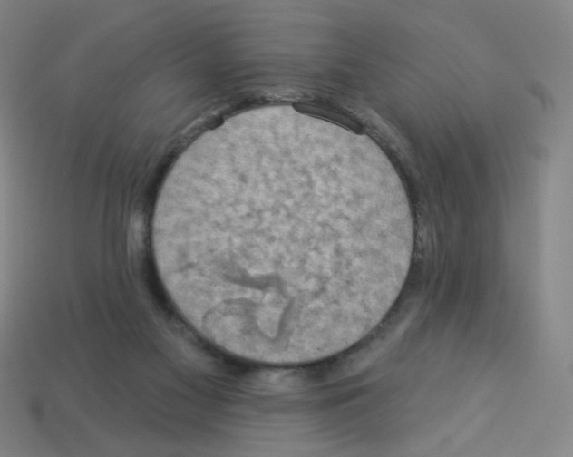 X0000113050117200910081240