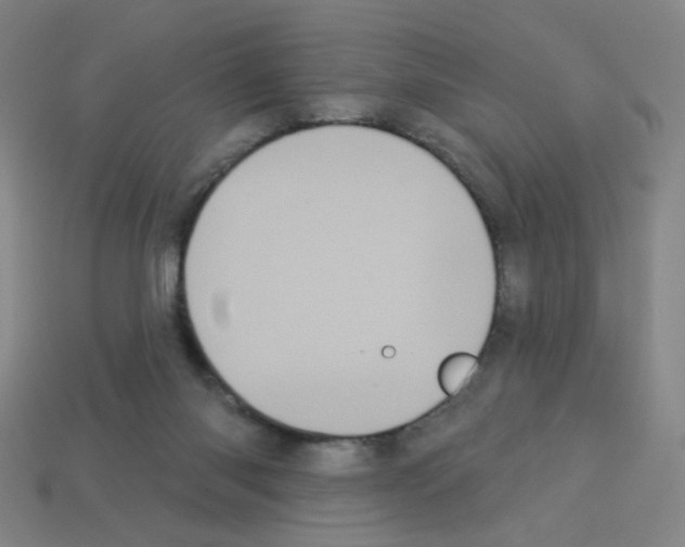 X0000113050118200910081240