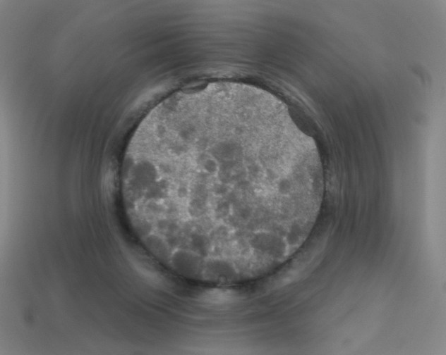 X0000113050119200910081240