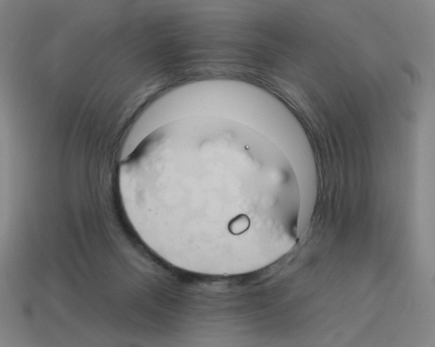 X0000113050120200910081240