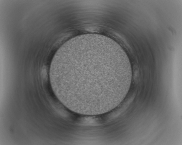 X0000113050121200910081240