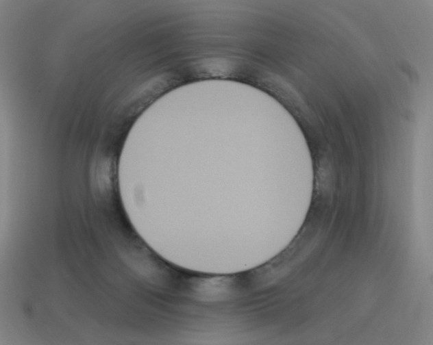 X0000113050122200910081240