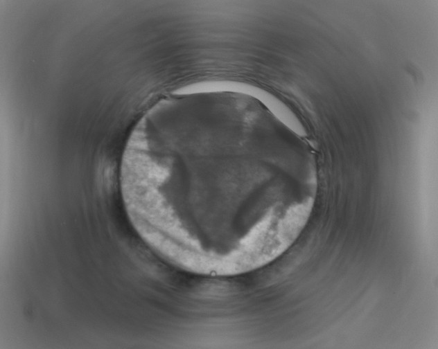 X0000113050123200910081240