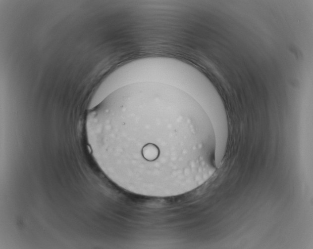 X0000113050124200910081240