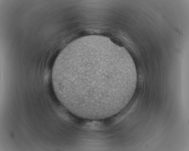X0000113050125200910081240