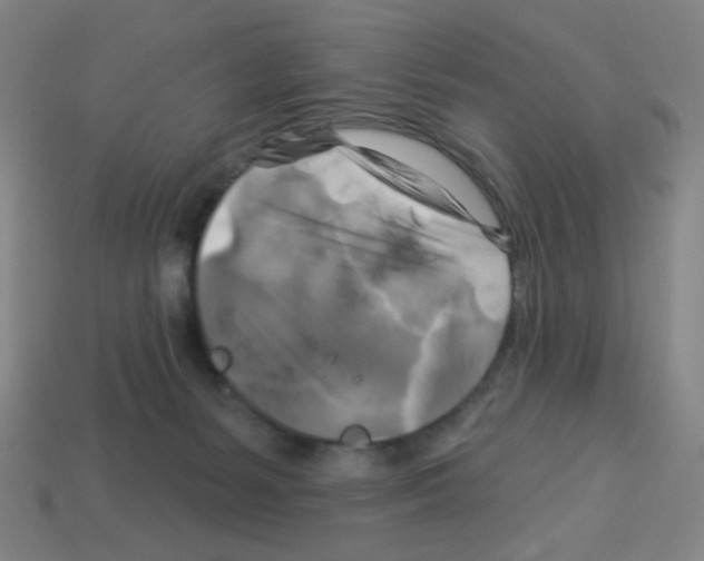 X0000113050127200910081240
