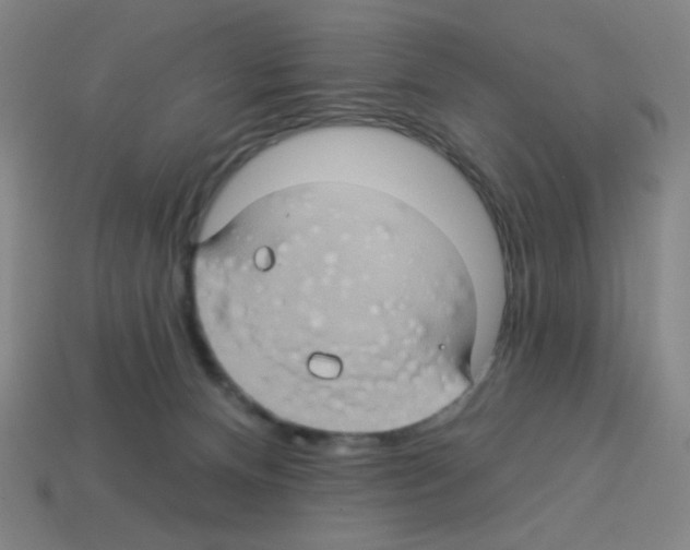 X0000113050128200910081239