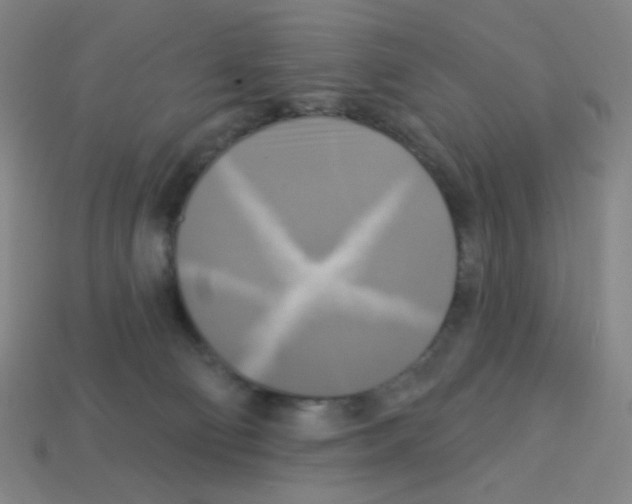X0000113050130200910081239