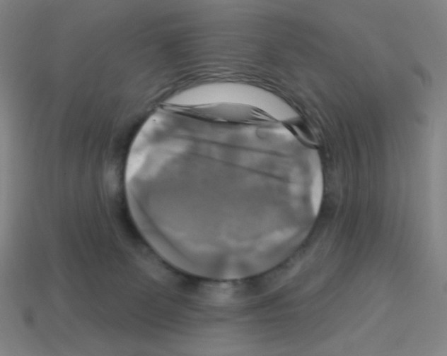 X0000113050131200910081239