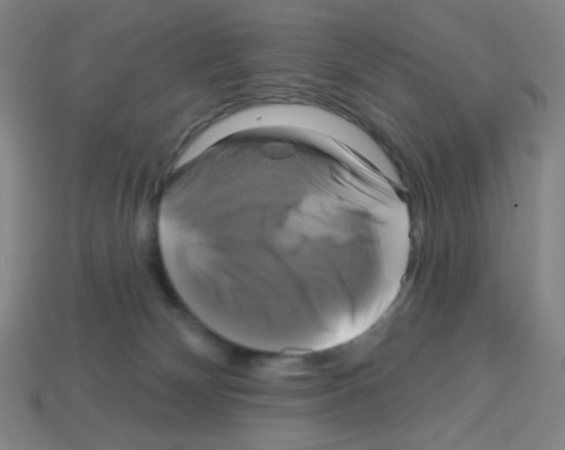 X0000113050132200910081239