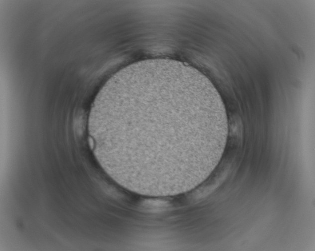 X0000113050133200910081239
