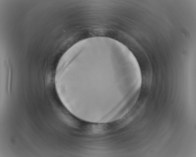X0000113050134200910081239