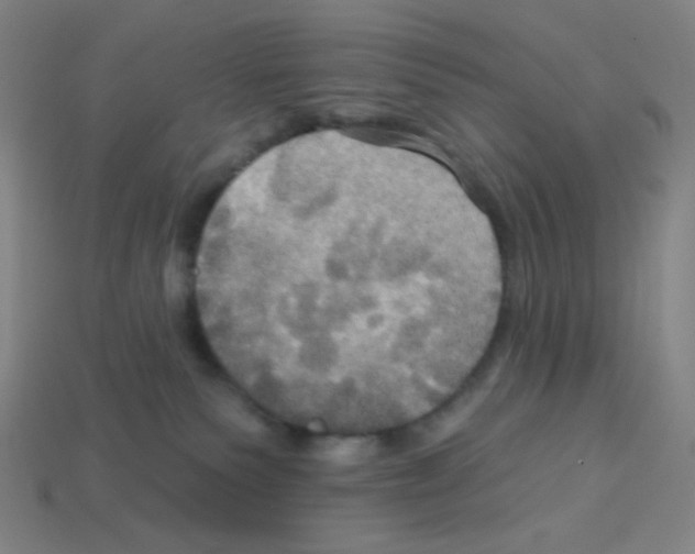 X0000113050135200910081239