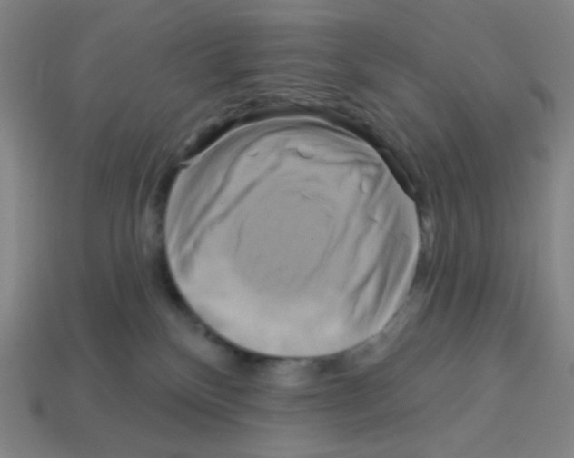 X0000113050136200910081239