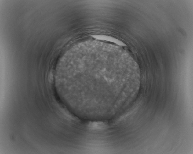 X0000113050137200910081239