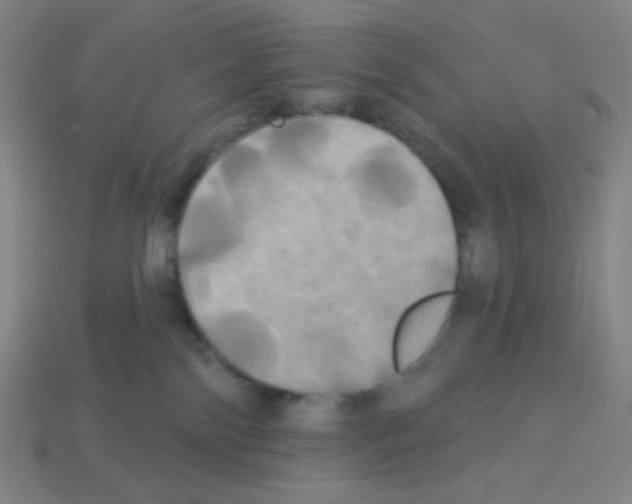 X0000113050138200910081239