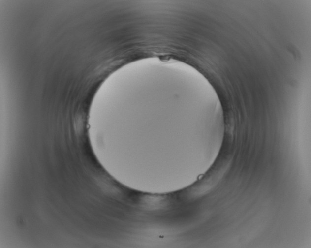 X0000113050139200910081239