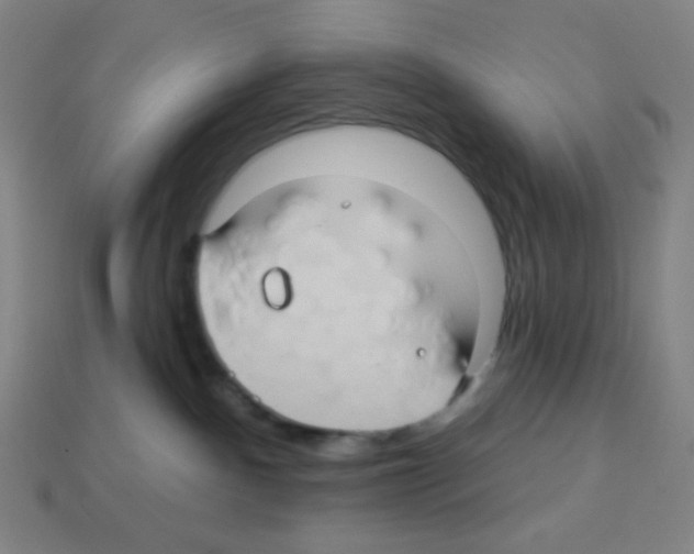 X0000113050140200910081239