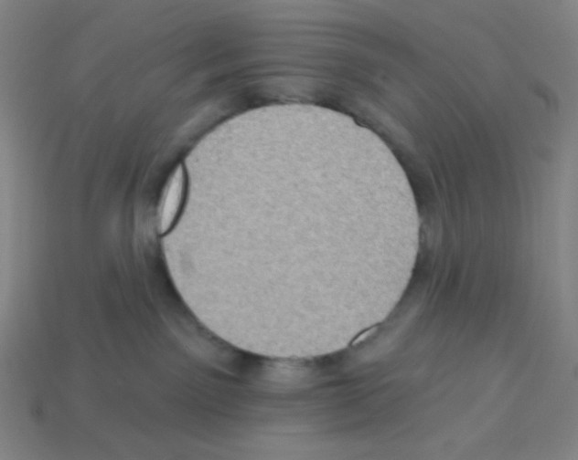 X0000113050141200910081239