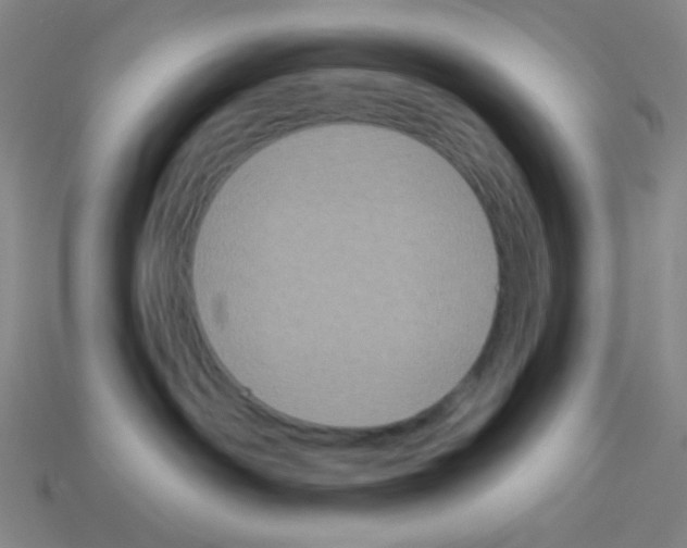 X0000113050142200910081239