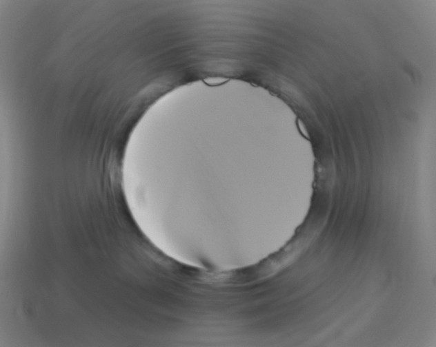 X0000113050143200910081239