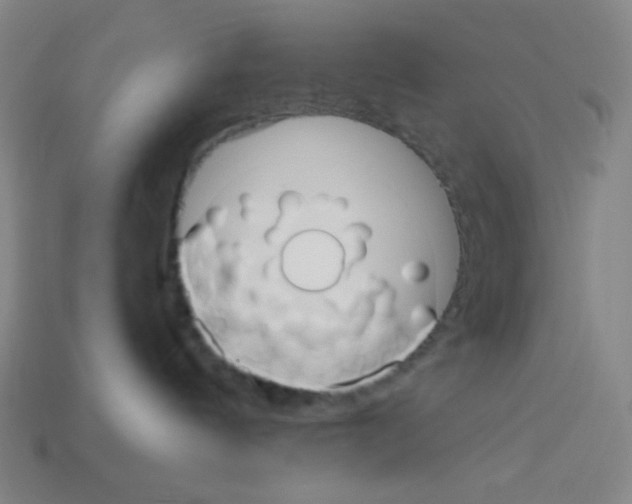 X0000113050144200910081239