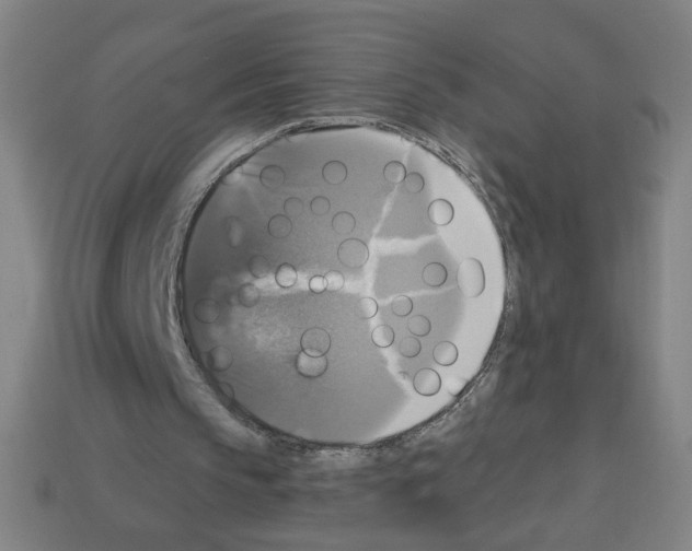 X0000113050145200910081238