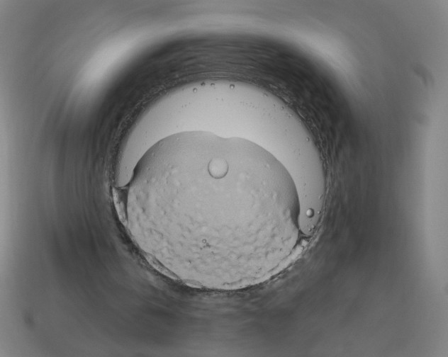 X0000113050146200910081239