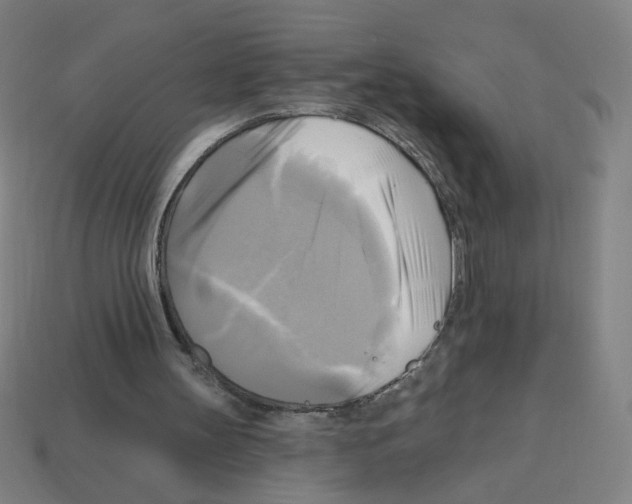X0000113050147200910081239
