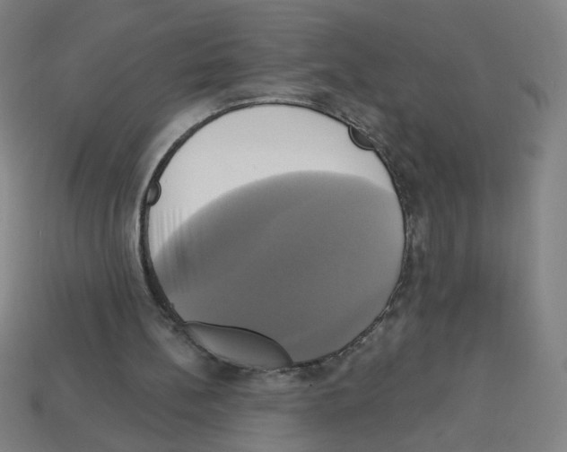 X0000113050148200910081239
