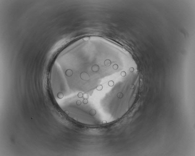 X0000113050149200910081239