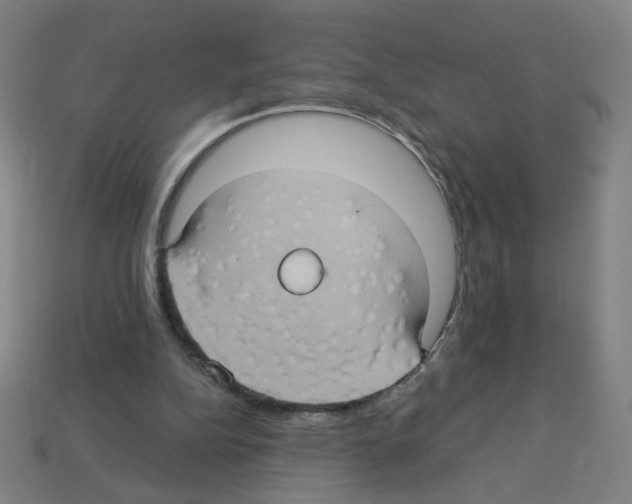 X0000113050152200910081239