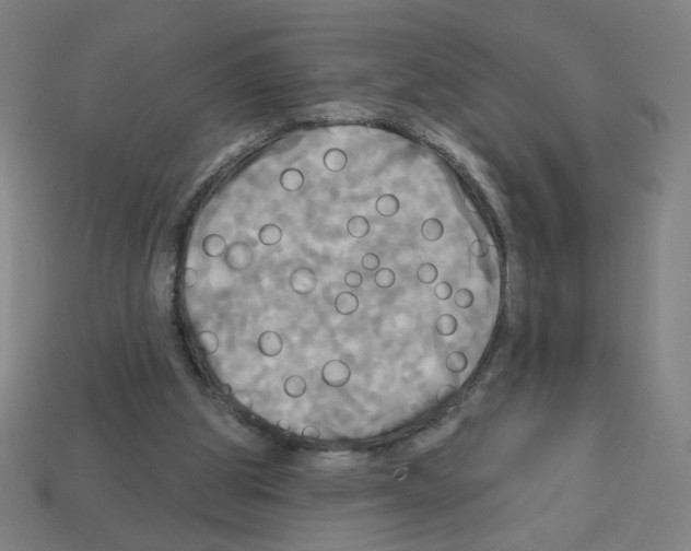 X0000113050153200910081239