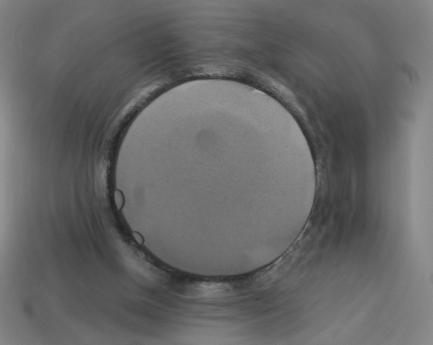 X0000113050154200910081239
