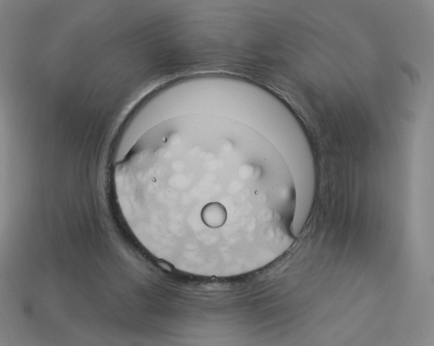X0000113050156200910081239