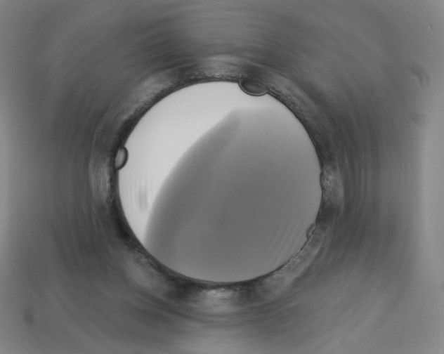 X0000113050158200910081239