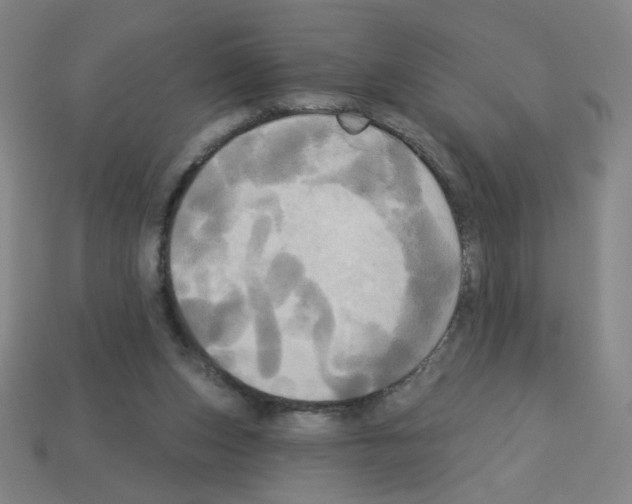 X0000113050159200910081239