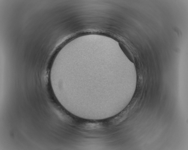 X0000113050160200910081239