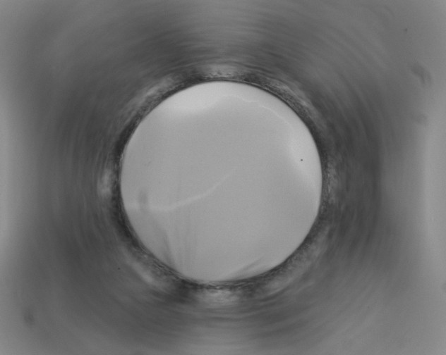 X0000113050161200910081239