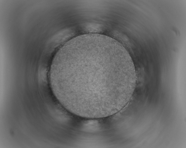 X0000113050162200910081239
