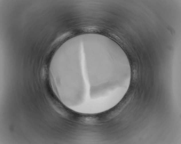 X0000113050165200910081239