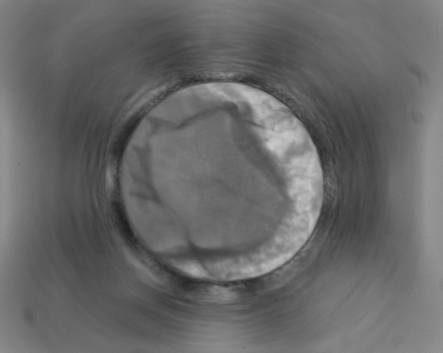 X0000113050166200910081239