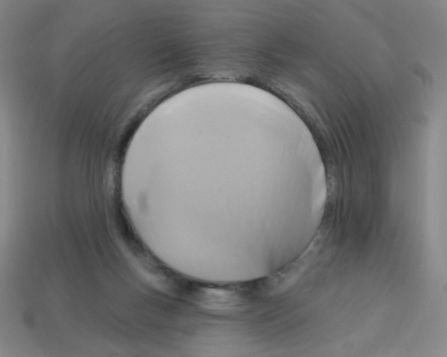 X0000113050167200910081239