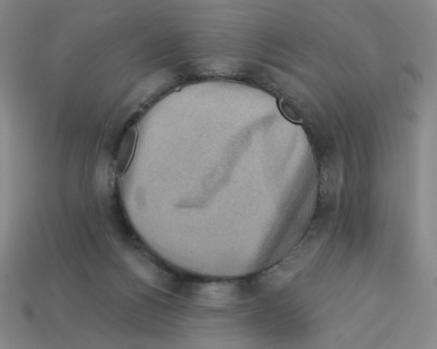 X0000113050168200910081239