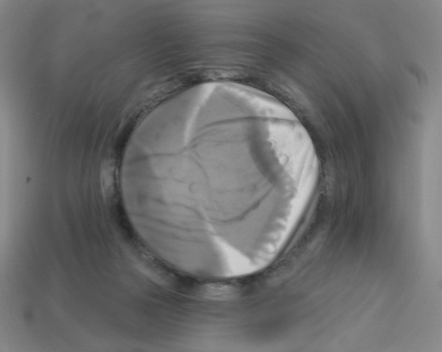 X0000113050169200910081239
